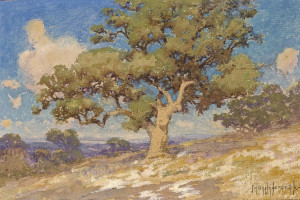 梦想在暗区飞扬，每一次射击都充满力量！